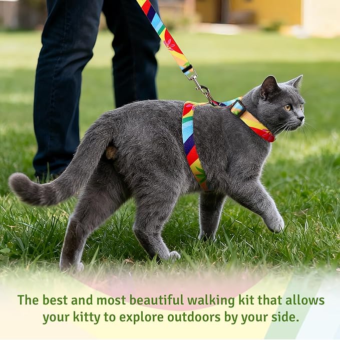 Cat Harness and Leash Set, Anti Escape Adjustable Cat Leash, Comfortable Soft Lightweight, Use Safe & Easy, Suitable for Small, Walking Kitten Harness for Large Medium Small Cats, Maple Leaf Red