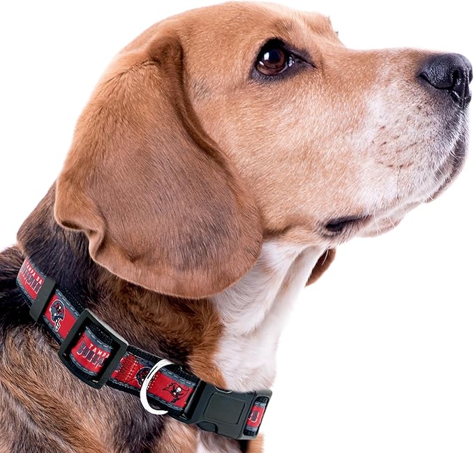 Pets First NFL Tampa Bay Buccaneers Licensed PET COLLAR, Small - Heavy-Duty, Strong, and Durable Dog Collar. Available in 31 Football Teams and 4 Sizes