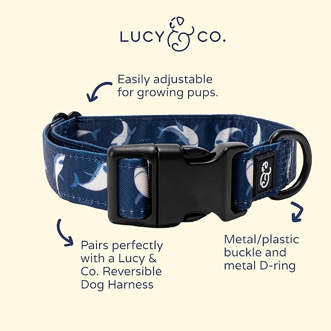 Lucy & Co. Shark Attack Adjustable Dog Collar- Cute Designer Pet Collar for Small, Medium, Large Dogs- Buckle Closure Dog Accessories, Medium, Navy & White Shark