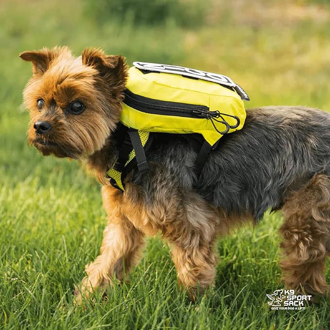K9 Sport Sack Walk-On - Medium, Buttercup Yellow - Ideal for Dogs with 17-19” Back Length - Lightweight, Packable, Backpack-Style Carrier - Includes Compatible Harness & Storage Bag