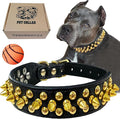 TEEMERRYCA Black Leather Dog Collar with Gold Spikes for Small Medium Large Pets,Pit Bulls/Bulldog, Keep Dog Safe from Grabbing by Huge Dogs,S(10.8"-13.2")