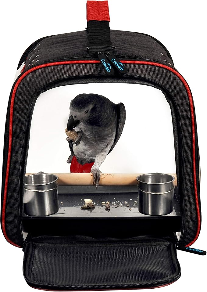 Colorday Lightweight Bird Carrier for Travelers, Bird Travel Cage with Parrot Feeder Cups & Standing Perch and Tracy (Large 19 x 12 x 13 inch, Black)