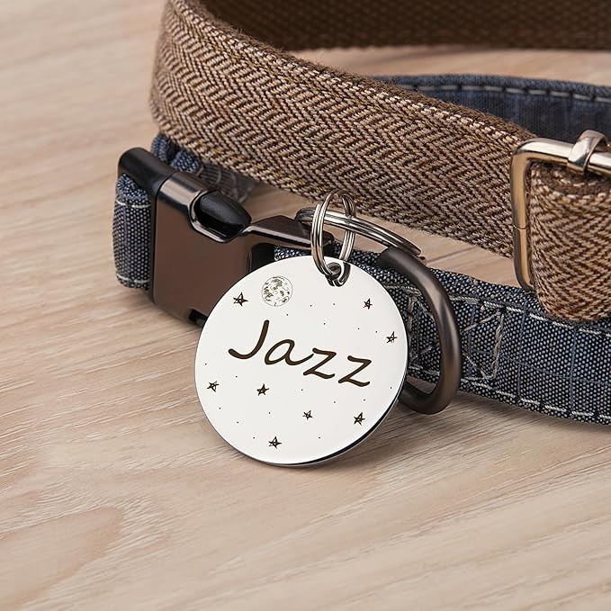 Anavia Small Size Dog Cat ID Tags, Small/XS Personalized Color Plated Stainless Steel Puppy Kitten Name Tags, Customized Engraved Nameplate Pet Collar Tag (Blue, Round)