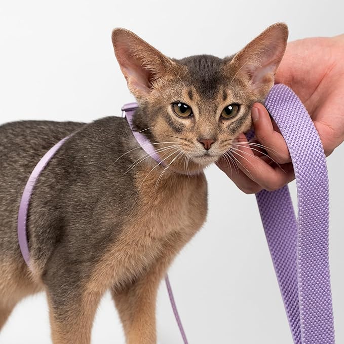 Cat Harness and Leash 2-in-1, Escape Proof Anti-Chocking Harness Adjustable Lighweight Leash for Walking Outoor Training for Kitten Small Large Cats Puppy, US IDA Bronze Award (Sierra Blue)