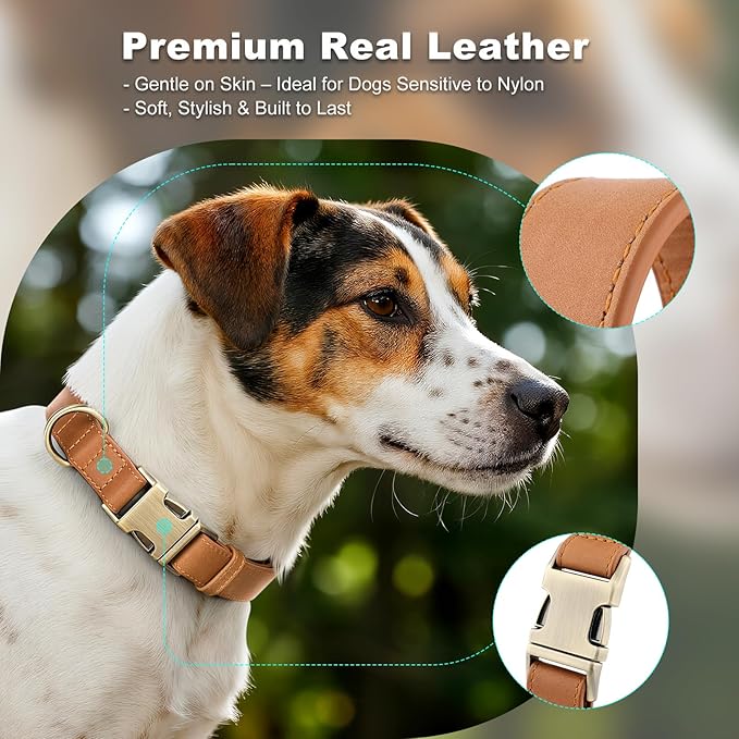 Plutus Pet Genuine Leather Dog Collar – Adjustable Pet Collar with Quick Release Metal Buckle, Soft Real Leather for Small Medium Large Dogs, Heavy Duty & Skin-Friendly (Light Brown, XS)