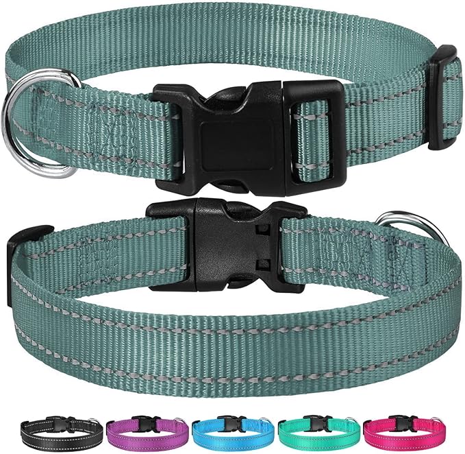 Reflective Dog Collar with Buckle Adjustable Safety Nylon Collars for Small Medium Large Dogs, Grey XL