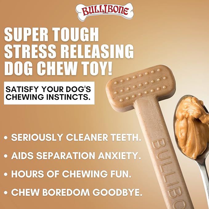 Bullibone Nylon Dog Chew Toy for Aggressive Chewers - Dental Hygiene Bone with Peanut Butter Flavor, Durable Tough Chew Toys for Small Dogs, Indestructible Dog Bone - 2 Pack