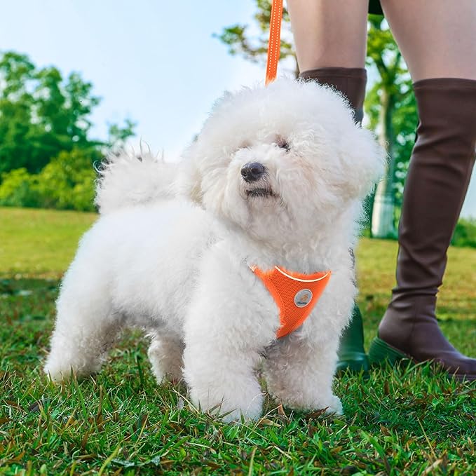 Hipubby Dog Harness and Leash Set, No Pull Soft Mesh Puppy Harness for Small Medium Dogs, Cats - Step in Reflective Breathable Lightweight Vest Harness for Walking, Training - Orange, XS