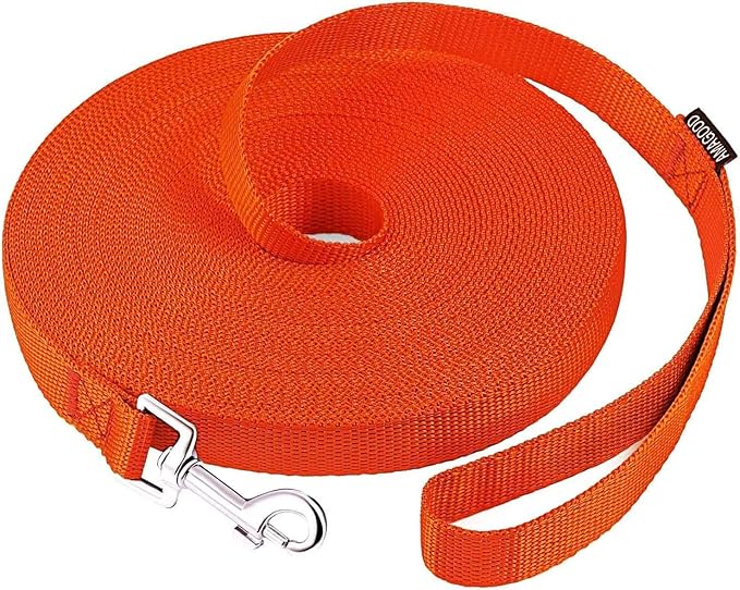 AmaGood Dog/Puppy Obedience Recall Training Agility Lead-15ft 20ft 30ft 50ft Long Leash-for Dog Training,Tie Out,Play,Safety,Camping (30 feet, Orange)