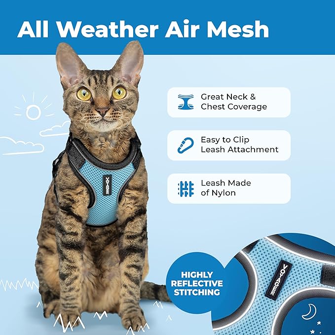 Voyager Escape-Proof Step-in Lock Cat Harness & 5ft Neoprene-Handle Leash Set All-Weather Mesh with Reflective Stitching for Small to Large Cats by Best Pet Supplies, Black Trim-Baby Blue (327), XXXS