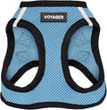 Best Pet Supplies Voyager Step-in Air Harness - All Weather Mesh, Reflective, No Pull Harness for Dogs, Cats - Secure with Hook & Loop Fastener, Buckle, Double D-Rings - Baby Blue/Black Trim, S
