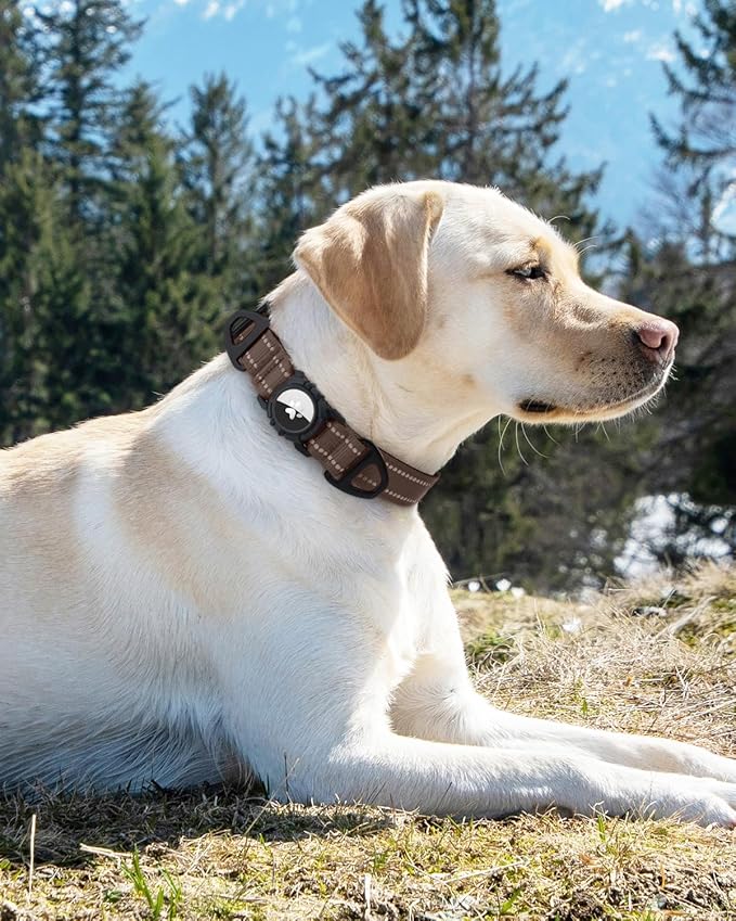 Joytale Airtag Dog Collar, Reflective Pet Collar with Waterproof AirTag Holder, Dual D-Rings, Soft Padded Adjustable for Extra Small and Puppy Dogs, Brown, XS