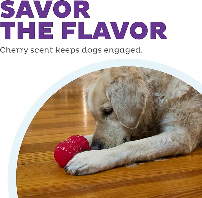 Outward Hound Gummiez Cherries Dog Toy & Treat Stuffer, 4″ x 4″ Cherry-Scent Interactive Chew for Dogs, Promote Healthy Teeth, Gums & Mental Enrichment, Reduce Boredom & Support Dental Health