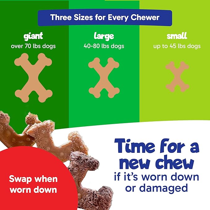 Chew’EMS X Bone Dog Chew Toy for Aggressive Chewers – Long-Lasting Chicken Flavor Nylon Bone – Durable, Rawhide-Free Dental Toy - Giant Size – Made in USA