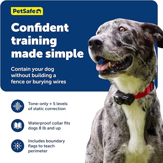 PetSafe 2-Dog Wireless Pet Containment System - Original Wireless Electric Fence for Dogs - Covers Up to 1/2 Acre - for Pets 5lb+