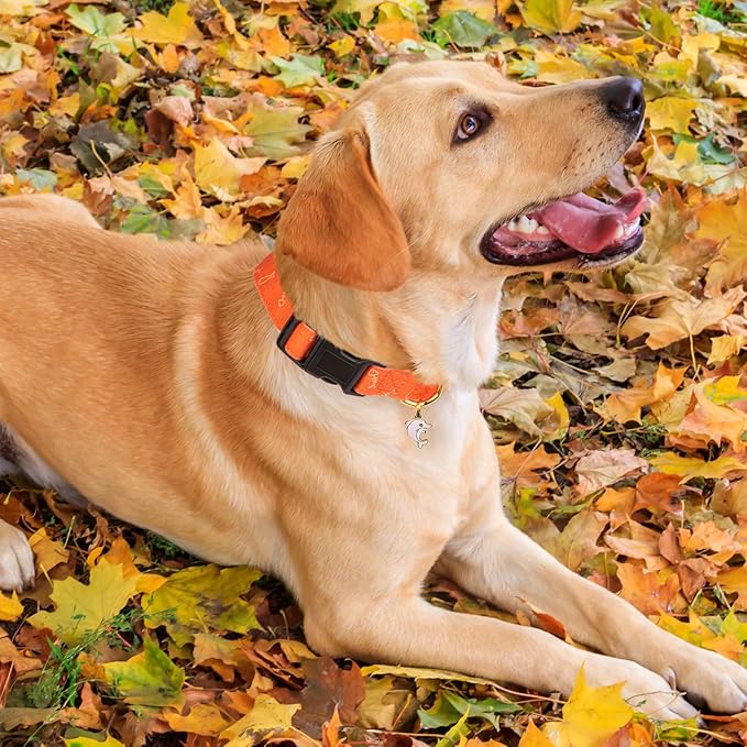 Cotton Handmade Dog Collar Cute and Distinctive Patterns Orange Fish with Pendant for Girl Boy Dogs Collars L