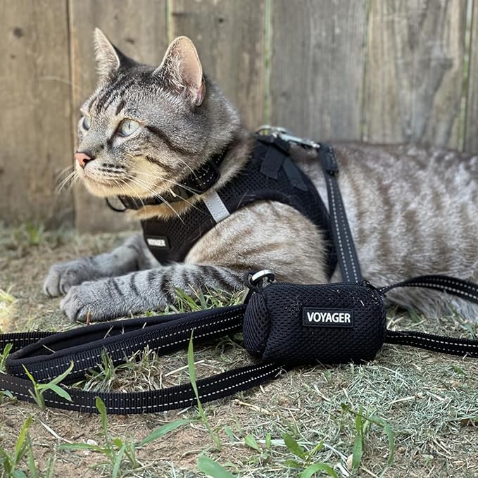 Best Pet Supplies - All Weather Mesh / Plush, Reflective, No Pull Harness for Small, Medium Dogs, Cats - Secure with Hook & Loop Fastener, Buckle, Double D-Rings - Black/Black Trim, XL