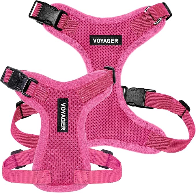Voyager Step-in Pet Harness - All Weather Mesh, Adjustable Step in Harness for Cats and Dogs by Best Pet Supplies - Fuchsia, M