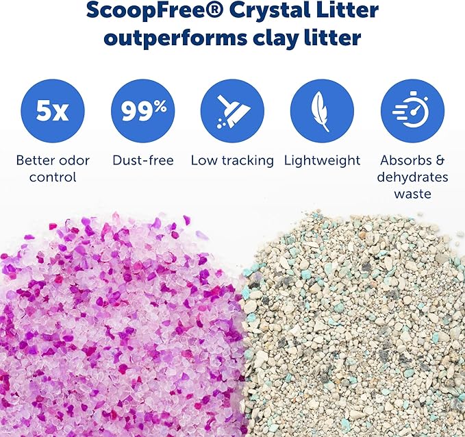 PetSafe ScoopFree Disposable Crystal Cat Litter Tray - Easy Cleaning Box - Refill Tray for Automatic Litter Box - Lavender Scent - 4.3 lb Bags - 3 Pack
