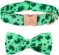 Lionheart glory Clover Dog Collar, Adjustable Dog Collar with Bowtie, Pet Gift Collar for Dog Soft Bowtie Dog Collars for X-Small Puppy