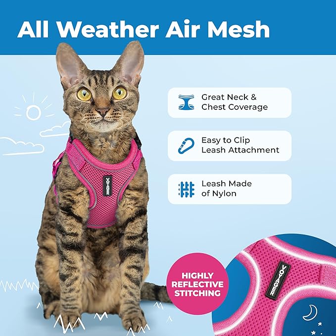 Voyager Escape-Proof Step-in Lock Cat Harness & 5ft Neoprene-Handle Leash Set All-Weather Mesh with Reflective Stitching for Small to Large Cats by Best Pet Supplies, Fuchsia (327), S