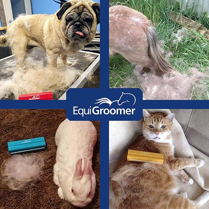 EasyGroomer Deshedding Brush for Dogs & Cats – Undercoat Grooming Tool for Short & Long Hair, Removes Loose Fur & Dirt, Reduces Shedding for Small & Large Pets, Orange