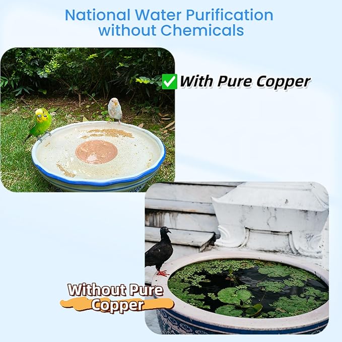 Bird Bath Purification Disk,99.99% Copper Disc for Bird Bath Copper Disk Cleaner Safe for Outside Birds Fountain Disc Accessories, Fit for Outdoor Birdbath Bowl(1 pcs)