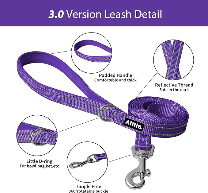 AIITLE Small Harness for Puppy with A Leash - Dog Vest Harness with Super Breathable Mesh, Reflective No-Pull Pet Harness for Outdoor Walking, Running for Small Dogs, Cats Pure Purple XXS