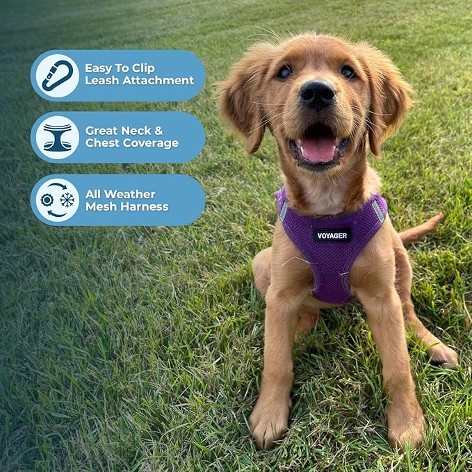 Best Pet Supplies Voyager Step-in Air All Weather Mesh Harness and Reflective Dog 5 ft Leash Combo with Neoprene Handle, for Small, Medium and Large Breed Puppies - Set (Purple), XXXS