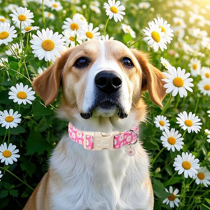 Summer Daisy Dog Collar, Cute Floral Adjustable Pink Dog Collars for Giant Large Dogs, Lightweight Quick-Release Buckle Collar for Boy&Girl Dogs XL