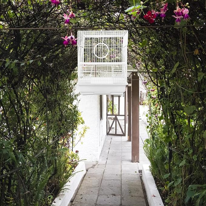 DECHOUS Metal Bird Cage Portable Parrot Carrying Cage Handheld Wire Bird Travel Carrier