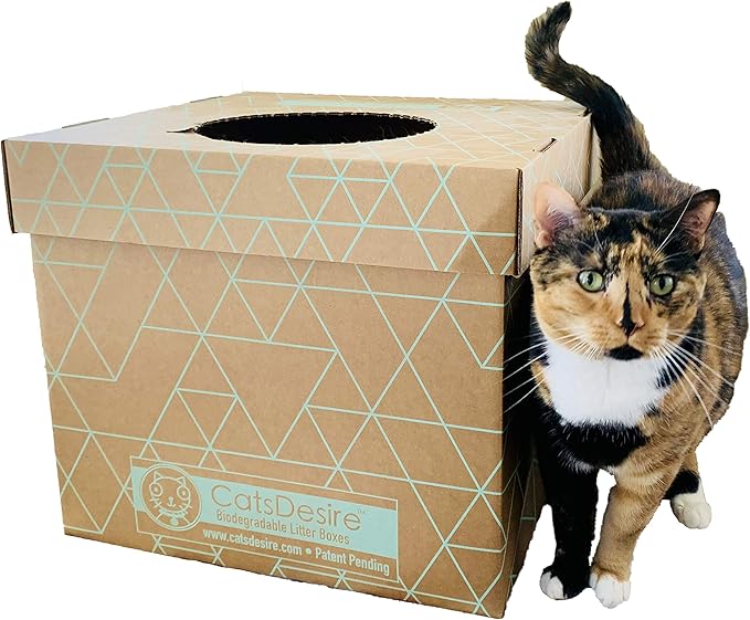 Cats Desire Litter Box - Disposable Litter Boxes for Cats (3 pcs) - Top/Low Entry & Enclosed Box - Teal on Natural Brown, Partially Recycled Cardboard, 17" L x 17" W x 15.25" H