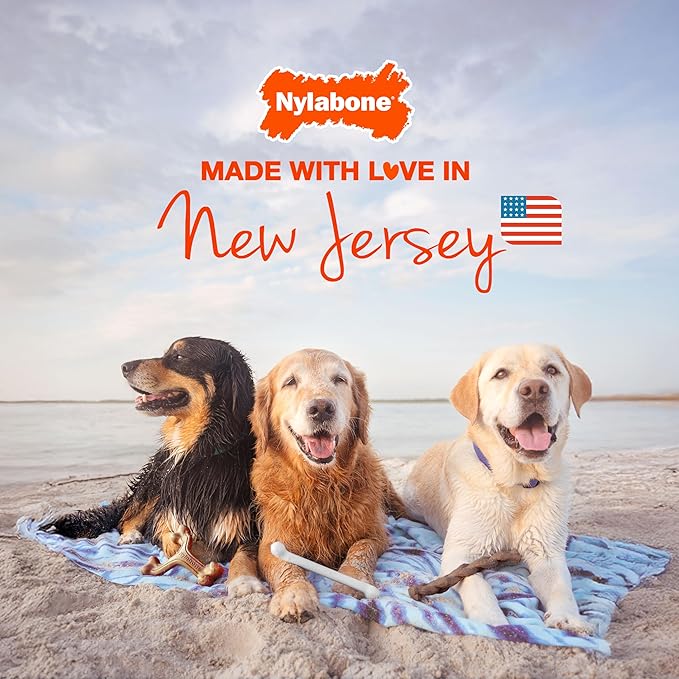 Nylabone Original Bone Power Chew Toy for Dogs, Durable & Tough Dog Toys for Aggressive Chewers, Chicken Flavor, Medium - Up to 35 lbs, 1 Count