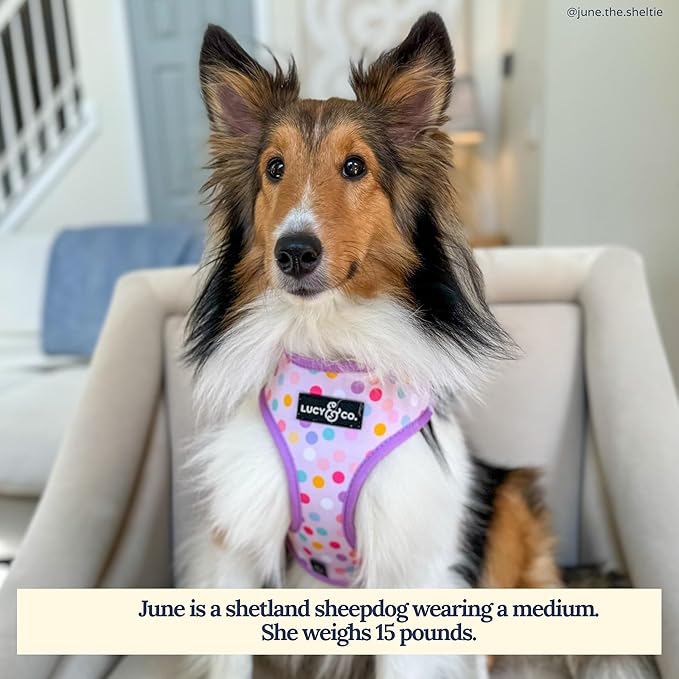 Lucy & Co. Cute Reversible Dog Harness Walking Halter - Best Designer Pet Harnesses for XS - XL Dogs - Padded Adjustable Vest for Easy Walking (Large, Unicorn Magic - Purple & Pink Unicorns)