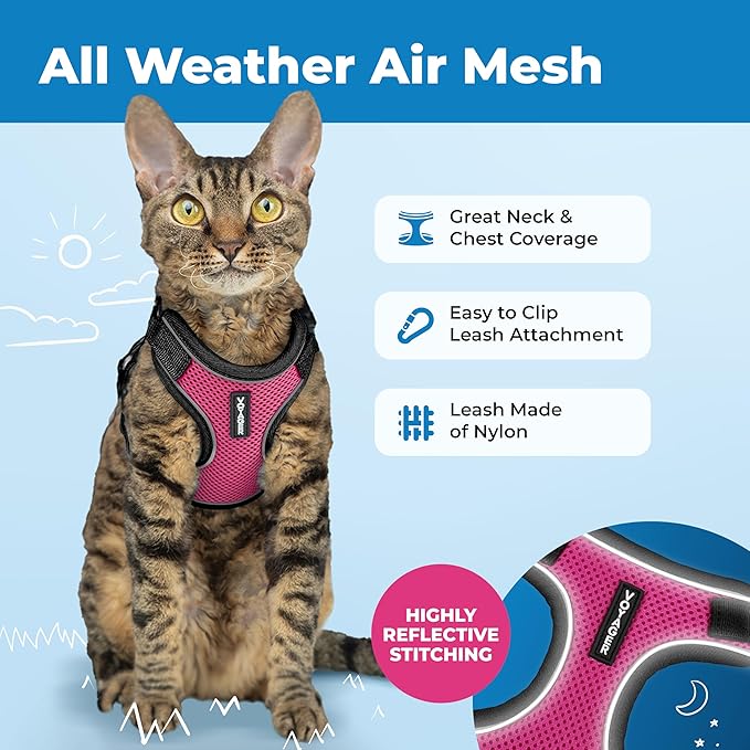 Voyager Escape-Proof Step-in Lock Cat Harness & 5ft Neoprene-Handle Leash Set All-Weather Mesh with Reflective Stitching for Small to Large Cats by Best Pet Supplies, Black Trim-Fuchsia (327), XXXS