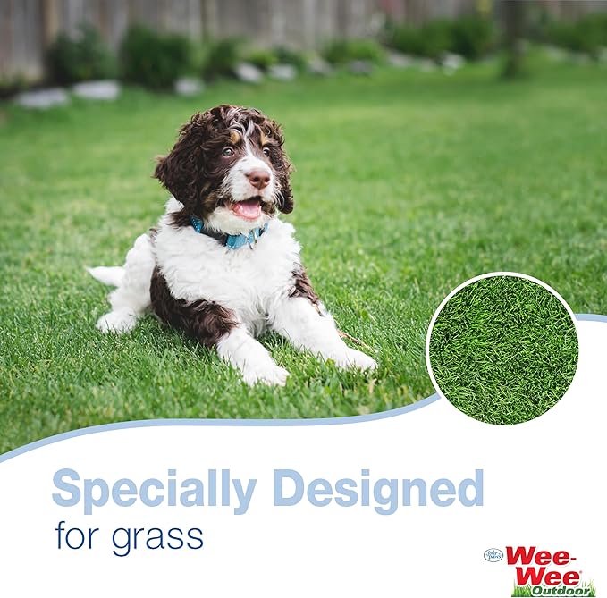 Four Paws Allen's Dog Waste Spring Action Pooper Scooper for Hard Surfaces, Standard