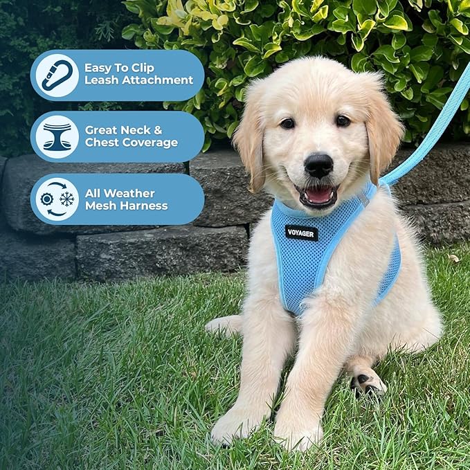 Best Pet Supplies Voyager Step-in Air All Weather Mesh Harness and Reflective Dog 5 ft Leash Combo with Neoprene Handle, for Small, Medium and Large Breed Puppies - Set (Baby Blue), S