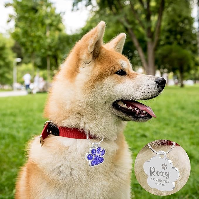EDSG Cat Dog Tags Personalized for Pets, Dog Name Tags Cat Name ID Tag, Engraved Dog Tags Dog ID Tags Small Glitter Bling ID Tag Paw Print for Cat Pet Dog Puppy(Pink,Design 1)