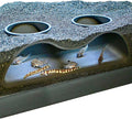 Aquarium Underground Tunnel Cave Natural Curve Two Hole | Viewing Fish & Shrimp Under Gravel Tunnel | Fish Tank Decor Decoration Hideout Perfect for Corydora Catfish, Kuhli Loach, Pleco