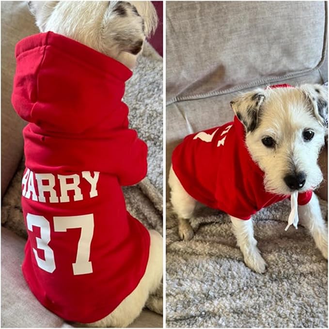 Personalized Name Dog Hoodie, Print Hoodies Pets Name, Custom Pet Memorial, Bright Puppy Sweatshirt, Customized Pet Clothes Warm Winter Outfit for Dogs, Gift for Dog Lovers Style 1