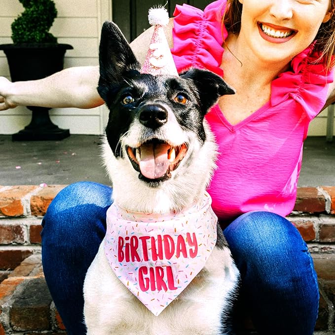 Birthday Girl Dog Bandanas 1 Pack, Pink Dog Scarfs for Girl, HBD Pet Scarves for Birthday Party Decoration for Large and Extra Large Dogs (Pink, X-Large)