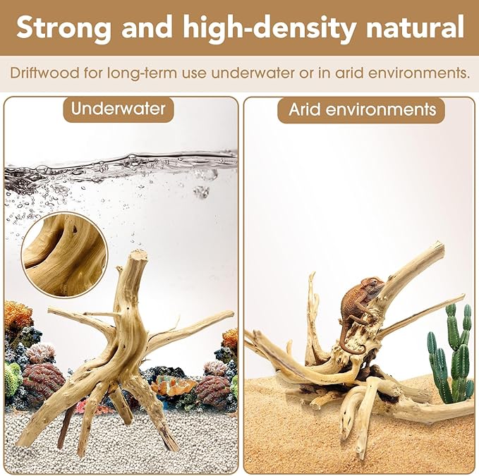 Jorewood Natural Large Spiderwood Driftwood for Aquarium Decor Rptile Fish Tank Decoration Assort Branch 11-14'' 2 Pcs