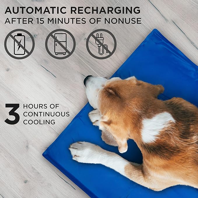 Arf Pets Dog Self Cooling Mat Pad for Kennels, Crates and Beds, Non-Toxic, Durable Solid Cooling Gel Material. No Refrigeration or Electricity Needed, Small 16" x 20"
