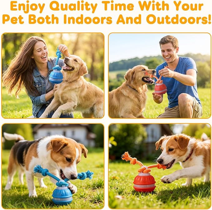 Interactive Dog Toys,Upgraded Motion Activated Rolling Dog Ball Toy for Small/Medium Dogs,Smart Automatic Rolling Toy with USB Rechargeable,Interactive Dog Balls(Blue)