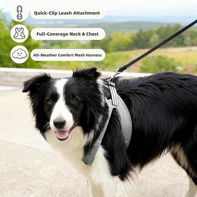 ROYPET Step-in Air Dog Harness, All Weather Mesh Step in Vest Harness for Small and Medidum Dogs and Cats, Adjustable Soft Padded Dog Vest with Easy Control Handle for Dogs Pets (Light Gray, L)