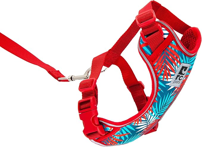 RC Pets Adventure Kitty Harness Includes Adjustable, Airmesh Fabric, 6' Leash and D-Ring Cat Walking Harness | Maldives, Small