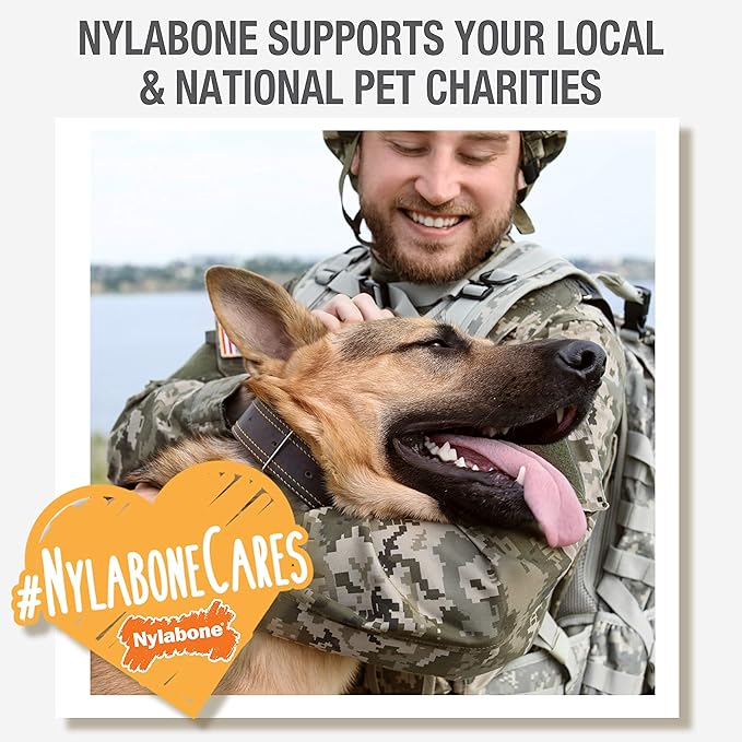 Nylabone Power Chew Antler Alternative Nylon Chew Toy for Dogs, Dog Toys for Aggressive Chewers, Venison Flavor, Large/Giant (1 Count)
