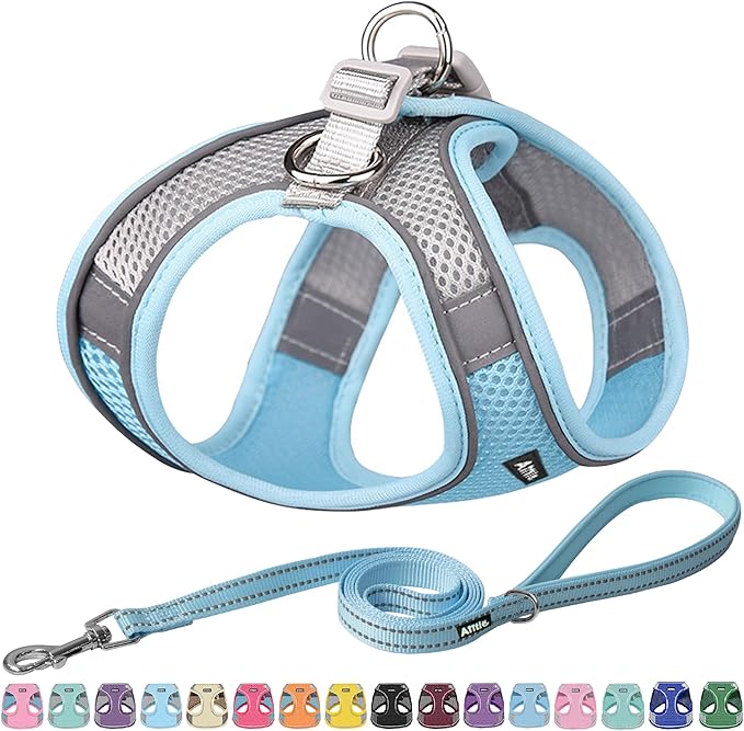 AIITLE No Pull Dog Harness and Leash Set, Step in Adjustable Dog Harness with Padded Vest for All Weather, Dog Leash with Soft Padded Handle, Easy to Put on Small and Medium Dogs Blue S