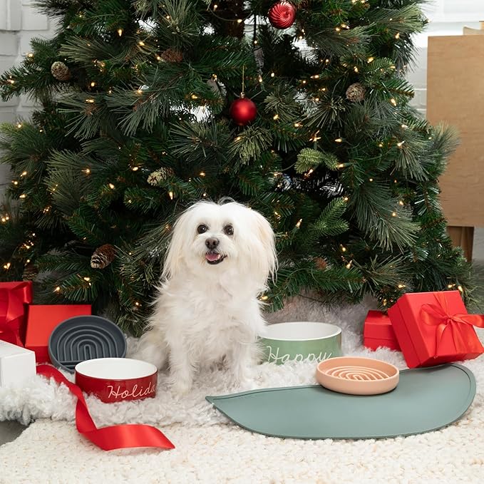 Should We Go - Waterproof Silicone Pet Food Mat - Non-Slip, Spill-Proof Feeding Mat for Floors, Raised Edge Design, Easy-to-Clean, Rubber Pad for Dog & Cat Bowls, 28" Across x 14" Deep, Large-Sage