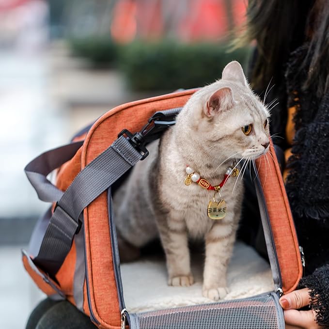 Mr. Pen Pet Carrier - Soft-Sided for Cats & Dogs, Bag & Travel Carrier